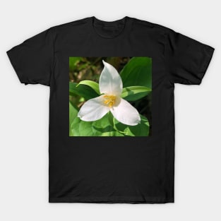 Forest Bathing with the Magical Spring Forest White Trillium T-Shirt